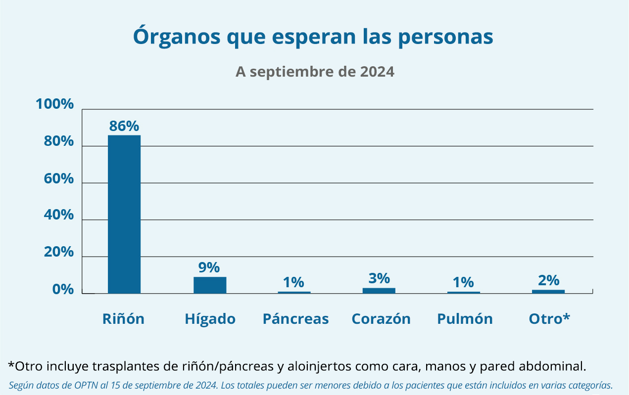 Gráfico que ilustra los órganos que esperan las personas